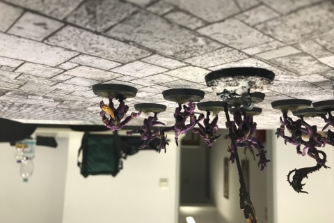 Foto 25.11.17, 15 01 37