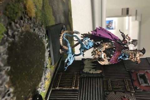 Foto 25.11.17, 15 05 16